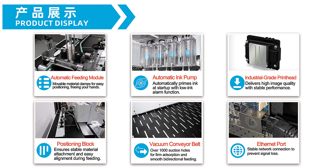 1761213309978635.jpg 蛋壳背面-kaiou 2.jpg